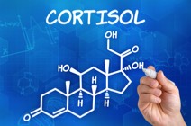 Chemische Formel des Stresshormons Cortisol